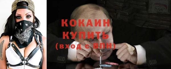 дурь Дмитриев