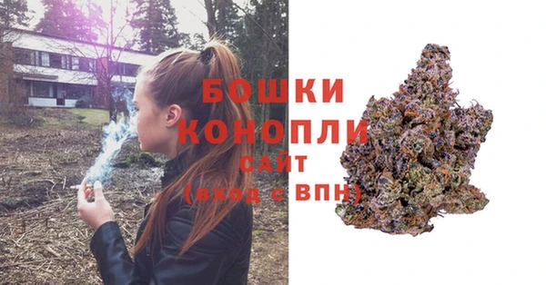 винт Дмитров