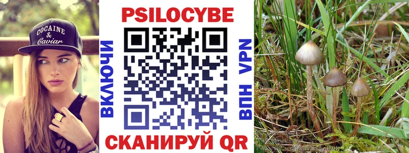 Купить где  Гаджиево  Псилоцибиновые грибы Cubensis 