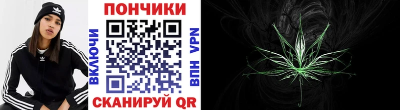 Купить  Гаджиево  Шишки марихуана Bruce Banner 